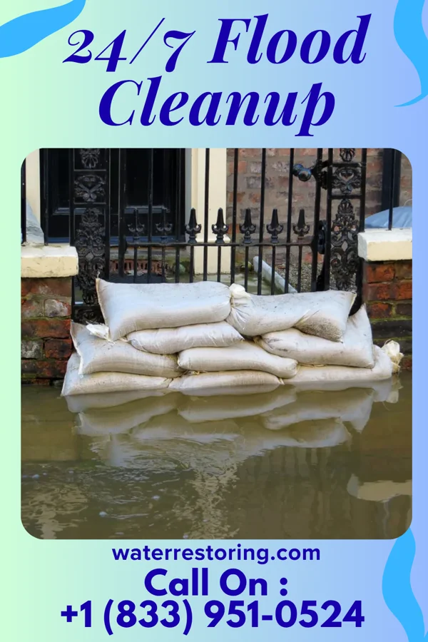 24/7 Flood Cleanup in Montrose, MI